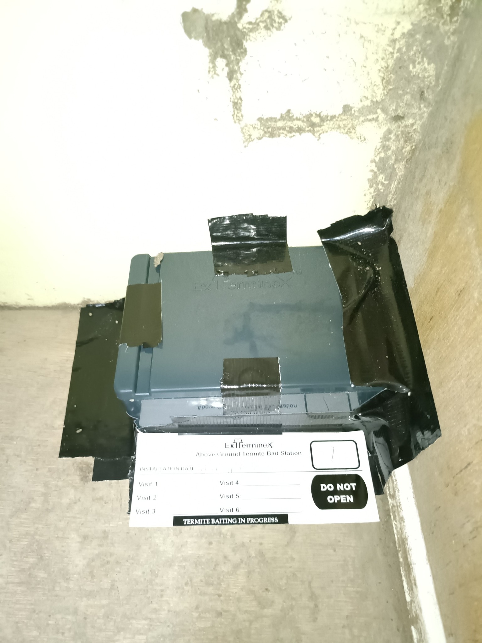 Abaddon pest control work, photo 5
